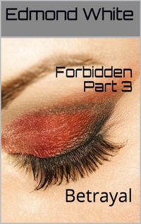 Produktbild: Forbidden Part 3