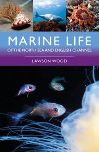 Produktbild: Marine Life of the North Sea and English Channel