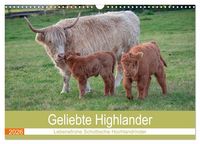 Produktbild: Geliebte Highlander (Wandkalender 2026 DIN A3 quer), CALVENDO Monatskalender