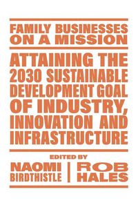 Produktbild: Attaining the 2030 Sustainable Development Goal of Industry, Innovation and Infrastructure
