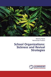 Produktbild: School Organizations: Sickness and Revival Strategies