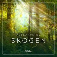 Produktbild: Avslappning - Skogen