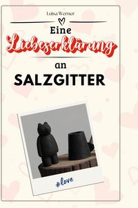 Produktbild: Eine Liebeserkl&auml;rung an Salzgitter