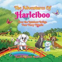 Produktbild: The Adventures of Harleiboo