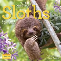 Produktbild: Original Sloths Mini Wall Cal
