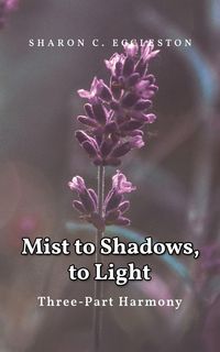 Produktbild: Mist to Shadows, to Light