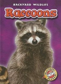 Produktbild: Raccoons