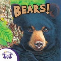 Produktbild: Know-It-Alls! Bears
