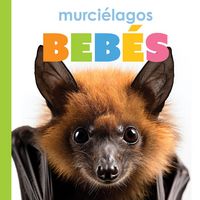 Produktbild: Murcielagos Bebes