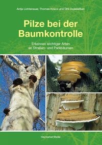 Bild vom Artikel Pilze bei der Baumkontrolle vom Autor Antje Lichtenauer
