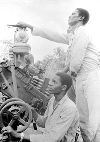 Produktbild: Guinea-Bissau (Flying against winds of change)