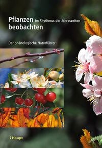Produktbild: Pflanzen im Rhythmus der Jahreszeiten beobachten