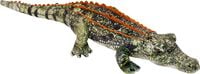 Produktbild: Krokodil - Nature Zoom Wild