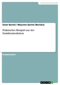 Produktbild: Praktisches Beispiel aus der Familienmediation