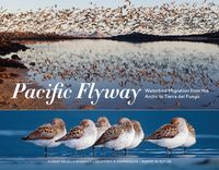 Produktbild: Pacific Flyway