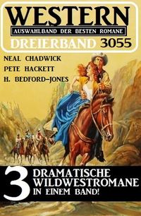 Produktbild: Western Dreierband 3055