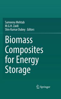 Produktbild: Biomass Composites for Energy Storage