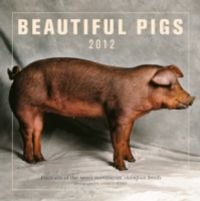 Produktbild: Beautiful Pigs Calendar 2012