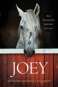 Produktbild: Joey