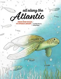 Produktbild: All Along the Atlantic