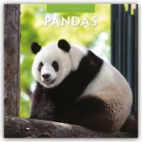 Produktbild: Pandas &ndash; Pandab&auml;ren 2027 &ndash; 16-Monatskalender