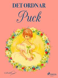 Produktbild: Det ordnar Puck