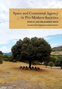 Produktbild: Space and Communal Agency in Pre-Modern Societies