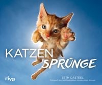 Produktbild: Katzenspr&uuml;nge