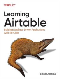 Produktbild: Learning Airtable