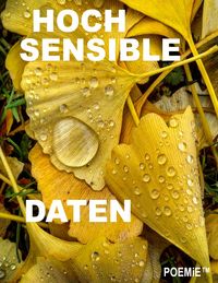 Produktbild: Hochsensible Daten