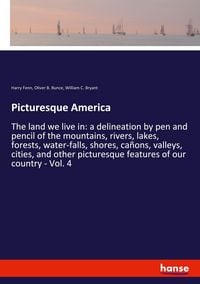 Produktbild: Picturesque America