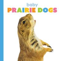 Produktbild: Baby Prairie Dogs