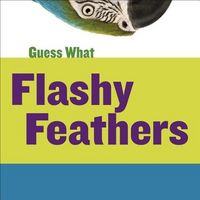 Produktbild: Flashy Feathers
