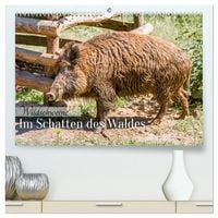 Produktbild: Wildschweine - Im Schatten des Waldes (hochwertiger Premium Wandkalender 2026 DIN A2 quer), Kunstdruck in Hochglanz