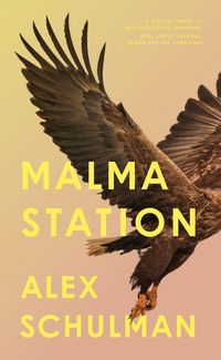 Bild vom Artikel Malma Station vom Autor Alex Schulman
