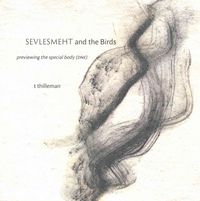 Produktbild: Sevlesmeht & The Birds Preview