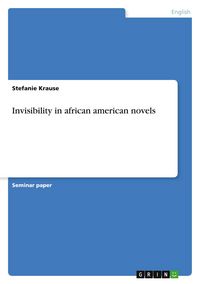 Produktbild: Invisibility in african american novels