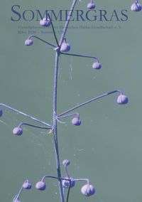 Produktbild: Sommergras 128