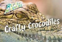 Produktbild: Crafty Crocodiles