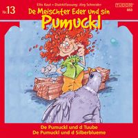 Produktbild: De Meischter Eder und sin Pumuckl, Nr. 13