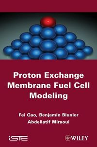 Produktbild: Proton Exchange Membrane Fuel Cells Modeling