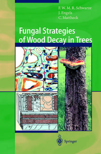 Produktbild: Fungal Strategies of Wood Decay in Trees