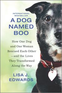 Produktbild: A Dog Named Boo