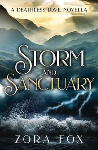 Produktbild: Storm and Sanctuary