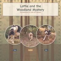 Produktbild: Lottie and the woodland mystery