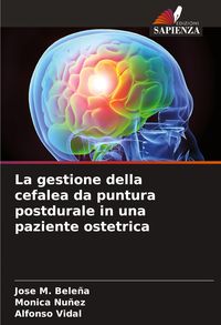 Produktbild: La gestione della cefalea da puntura postdurale in una paziente ostetrica