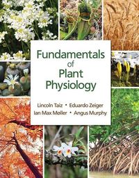 Produktbild: Fundamentals Of Plant Physiolo