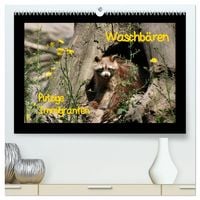 Produktbild: Waschb&auml;ren (hochwertiger Premium Wandkalender 2027 DIN A2 quer), Kunstdruck in Hochglanz