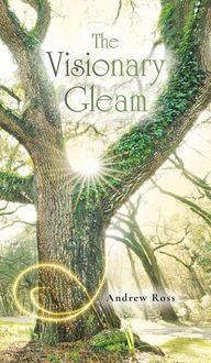 Produktbild: The Visionary Gleam