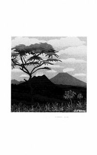 Produktbild: Nyamulagira (seismes)